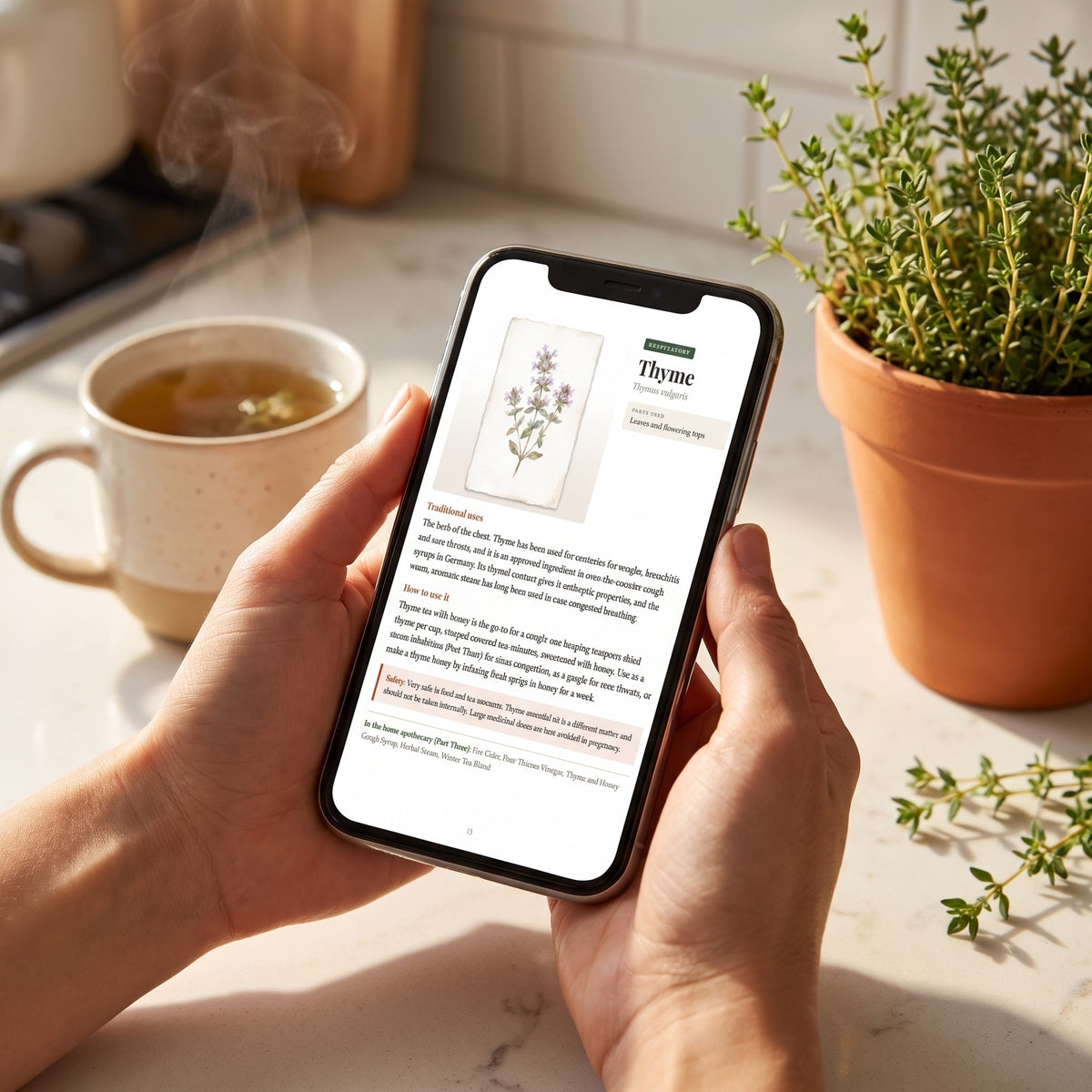 Herbal Antibiotics & Antivirals Handbook