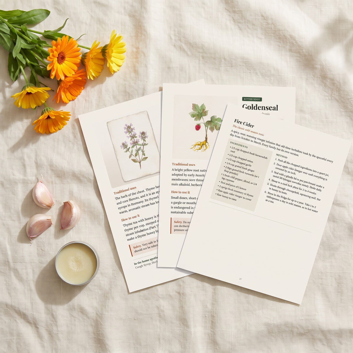Herbal Antibiotics & Antivirals Handbook