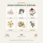 Herbal Antibiotics & Antivirals Handbook