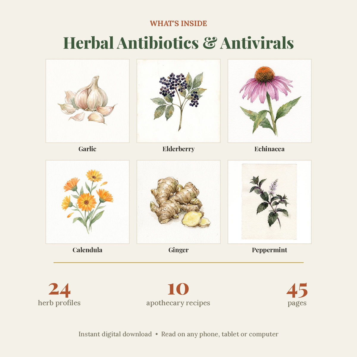 Herbal Antibiotics & Antivirals Handbook